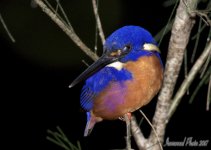 DSC_1792.jpg