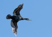 DSC_2281.jpg