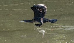 DSC_2299.jpg