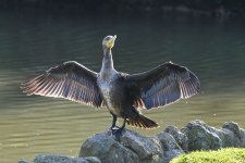 DSC_2331_024.jpg