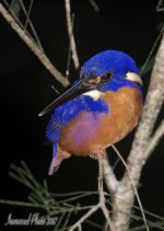 DSC_1794.jpg
