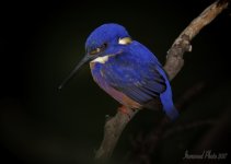 DSC_1859.jpg