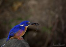 DSC_1863.jpg