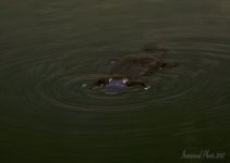 DSC_1873.jpg
