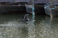 DSC_2344.jpg