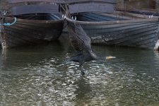 DSC_2345.jpg