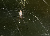 DSC_1912.jpg