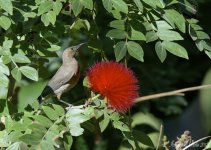 DSC_1900.jpg