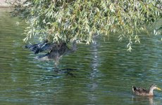 DSC_2530.jpg