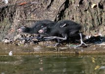 DSC_2473.jpg