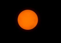 W_DSC_1791.jpg