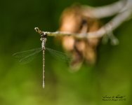 W_DSC_0371.jpg
