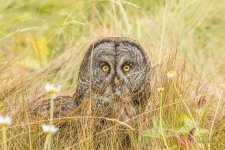 _IVA6804-Edit.jpg