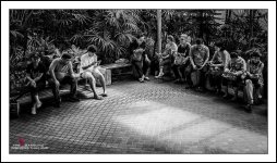 in the light-1.jpg