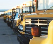 School Buses.jpg
