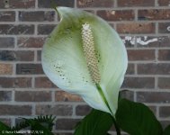 20170802_153939.jpg