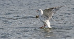 DSC_2682.jpg