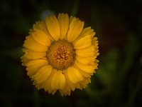 8-18-17-cr__7501736.jpg