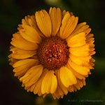 8-18-17-cr__7501737.jpg