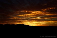 8-18-17-cr__7501740.jpg