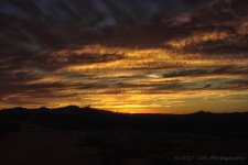 8-18-17-cr__7501741.jpg