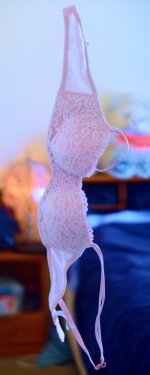 ZSC_5513_stitchN.jpg