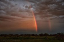 8-19-17-cr__7501752.jpg
