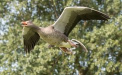 DSC_2866.jpg