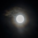 _DSC7408.jpg