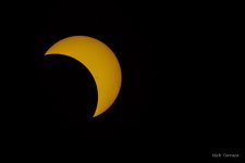 D72_3627.jpg