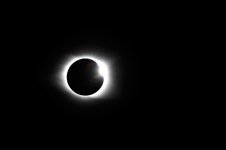 _DSC7484.jpg