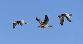 DSC_2918_028.jpg