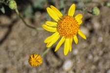 8-24-17-cr__D7K7530.jpg