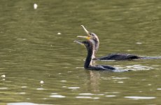 DSC_3157.jpg