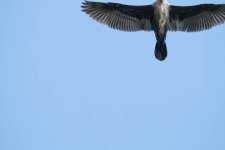 DSC_3166.jpg