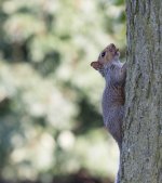 DSC_3167.jpg