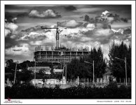 crane-bw-1.jpg