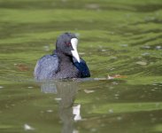DSC_3241.jpg