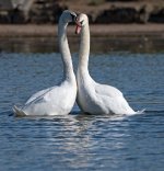 DSC_3406.jpg