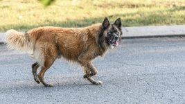 _DSC7521.jpg