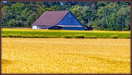 1-DSC_3020-Edit.jpg