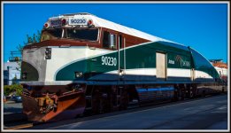 DSC_1101.jpg