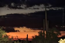 8-27-17-cr__7501792.jpg