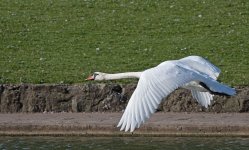 DSC_3555.jpg