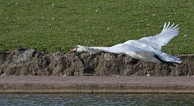 DSC_3556.jpg