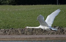 DSC_3557.jpg