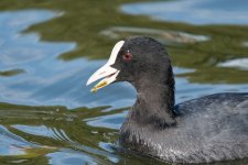 DSC_3537.jpg