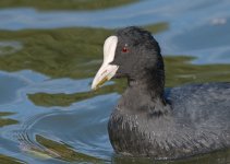 DSC_3538.jpg