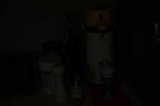 DSC_1180 net.jpg