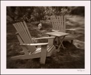 DSC_0934.jpg